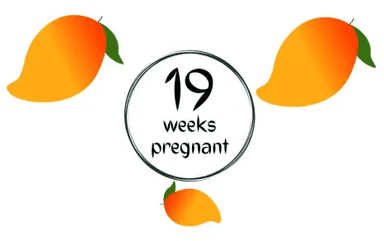 Week 19
