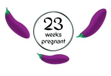 Week 23