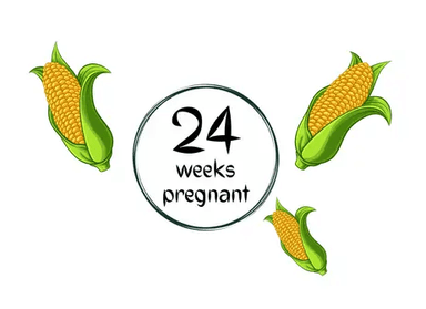 Week 24