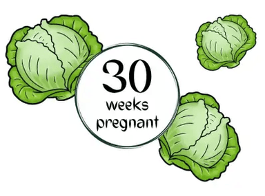 Week 30