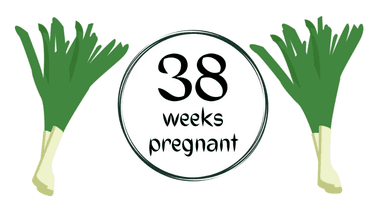 Week 38