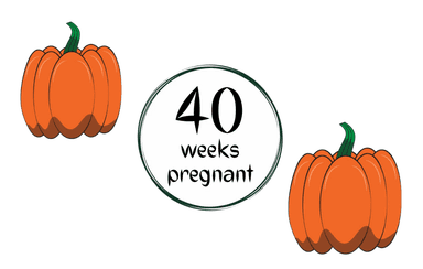 Week 40