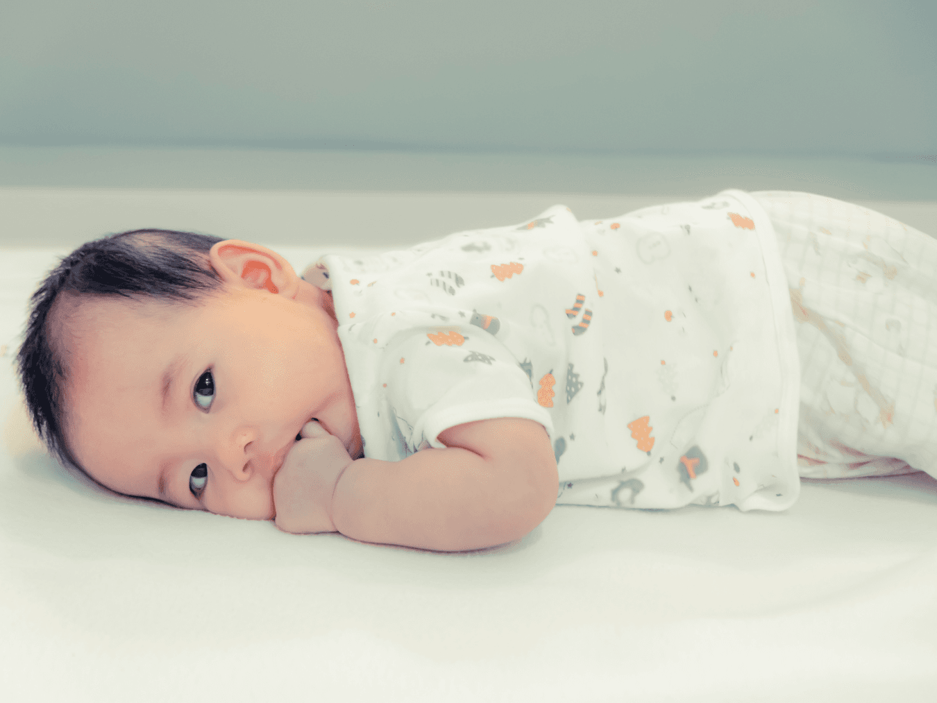 Development Stages featured image