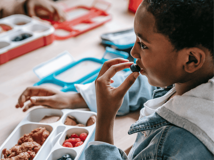 Nutrition and Healthy Eating