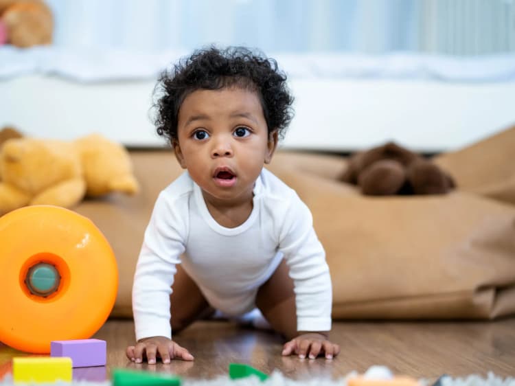 Development Milestones