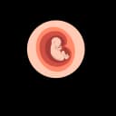 A fetus breathing in the womb.