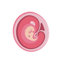 Development of embryo