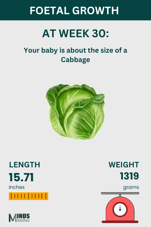 Foetal Growth at Week 30