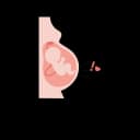 A fetus showing kicks and punch in the womb.