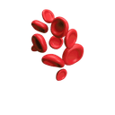 Blood cells