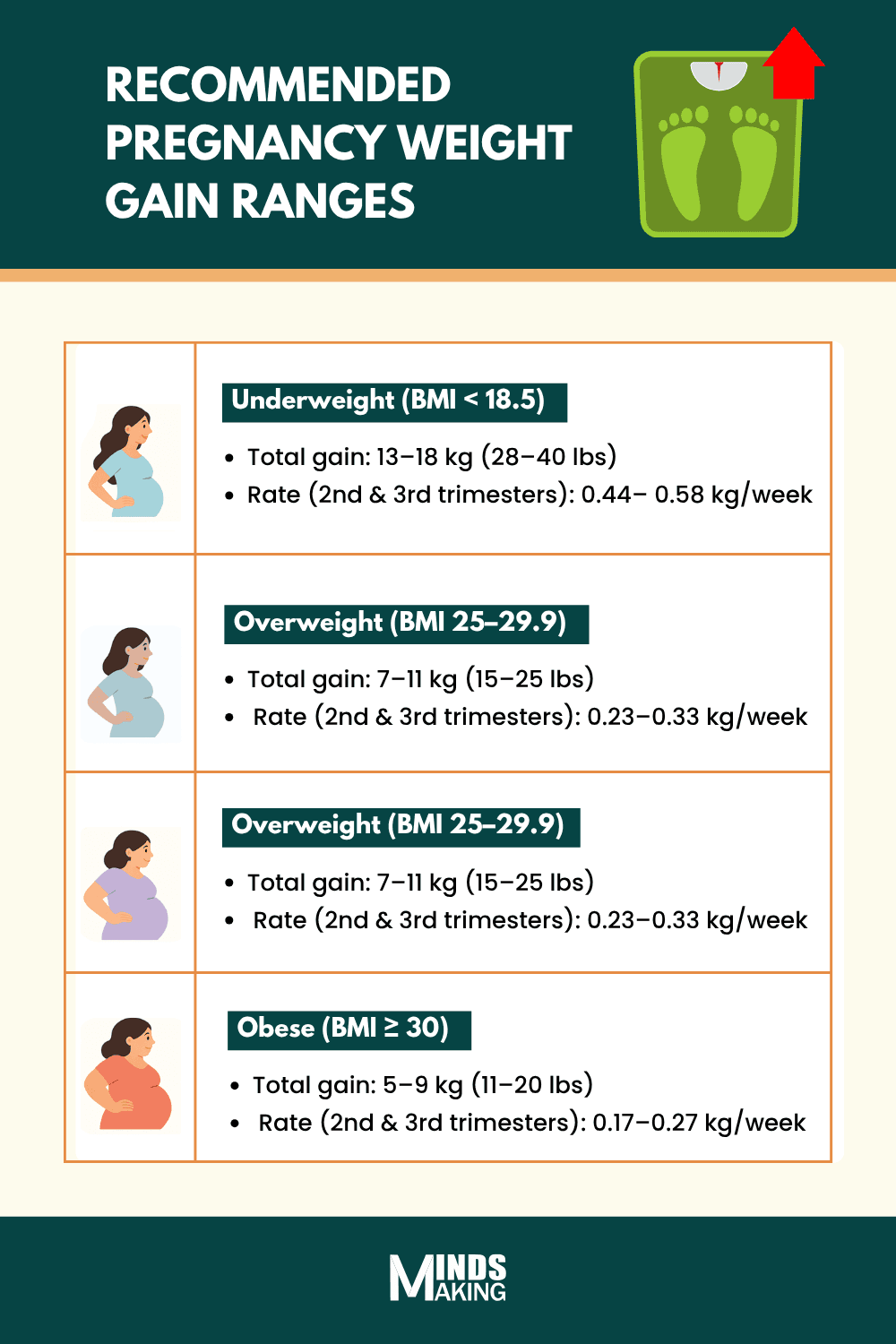 A vertical infographic titled "Recommended Pregnancy Weight Gain Ranges" featuring four categories based on BMI: