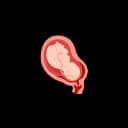 "Close-up image showing the vernix, a protective waxy coating on the skin of a fetus, which develops in the womb