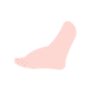 Swollen leg of a pregnant woman