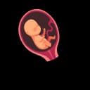 Image of a fetus showing movement in the womb.