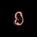 "Close-up view of the soft, flexible skull of a human fetus