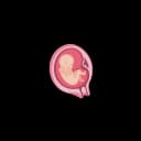 "Illustration showing the body development of a fetus in the womb, highlighting the formation of muscles, bones, and organs during different stages of pregnancy.