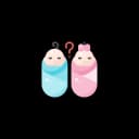 Ultrasound of a pregnant woman showing two opposite sex.