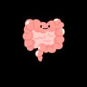 illustration of human intestines promoting healthy digestion and gut movement during pregnancy"