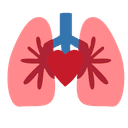 Lung Maturation