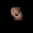 A protective covering called vernix caseosa,