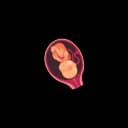 "Falling hair of a fetus, a normal part of prenatal development, where fine lanugo hair sheds around the second trimester, making way for the baby’s hair that will grow after birth."