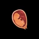 "Ultrasound image showing fetal breathing movements in the womb, demonstrating prenatal lung development and healthy fetal activity"