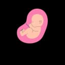 A fetus in the womb thumbsucking.