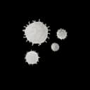 "3D illustration of white blood cells attacking pathogens – representing immune system defense during pregnancy"