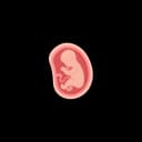 "Image showing increased fetal weight during pregnancy