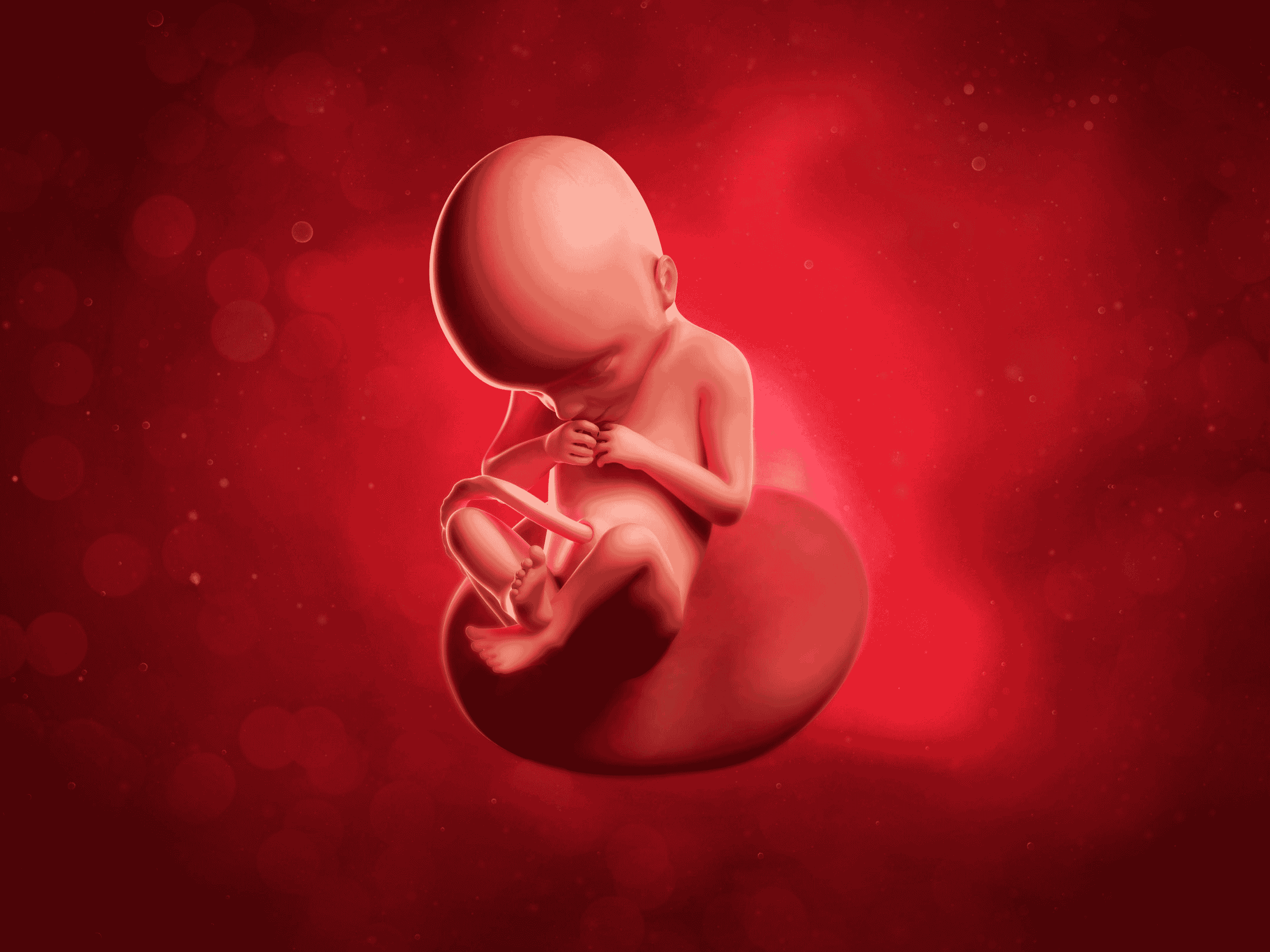 Your Pregnancy at Week 22