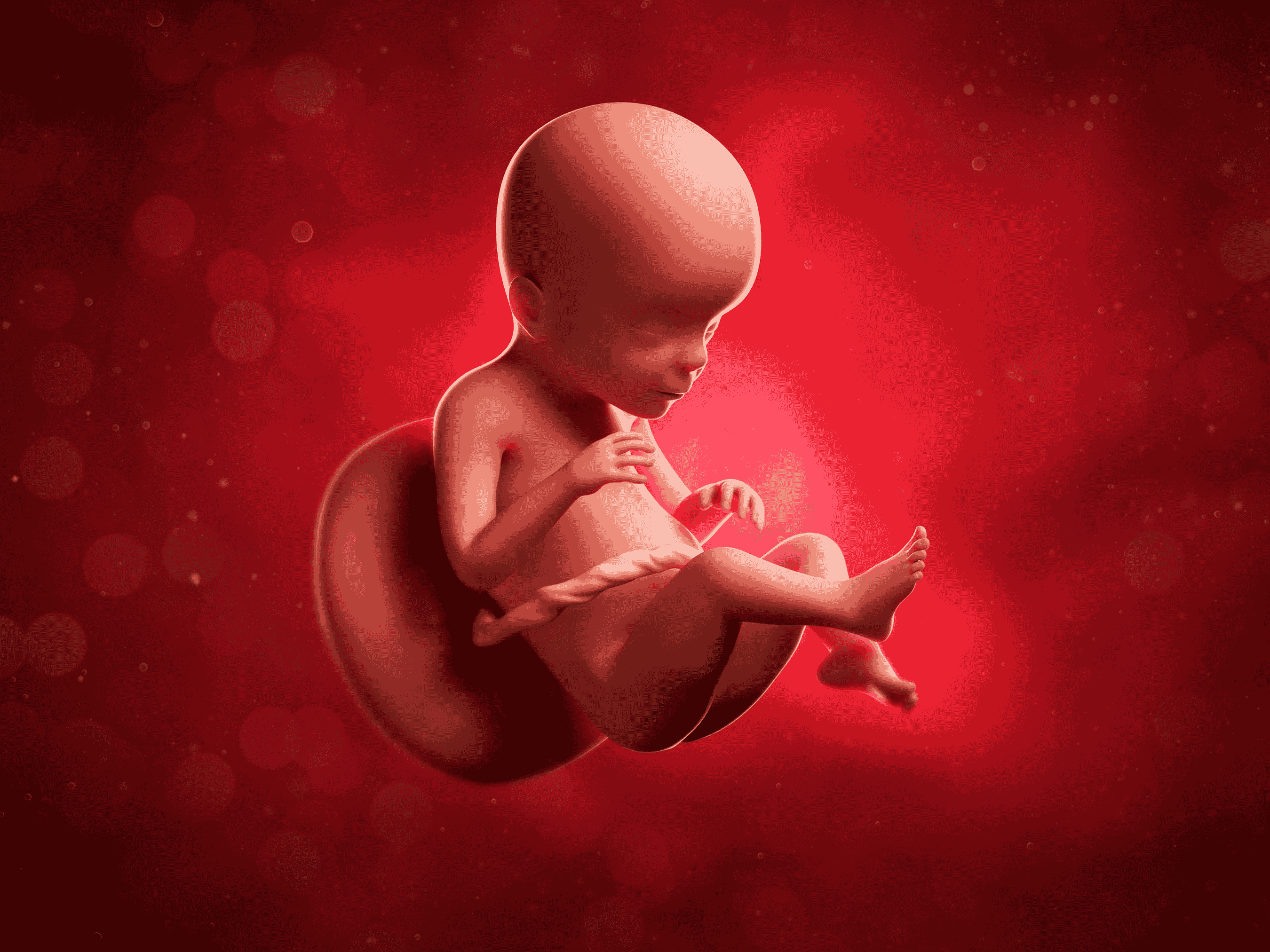 Your Pregnancy at Week 23