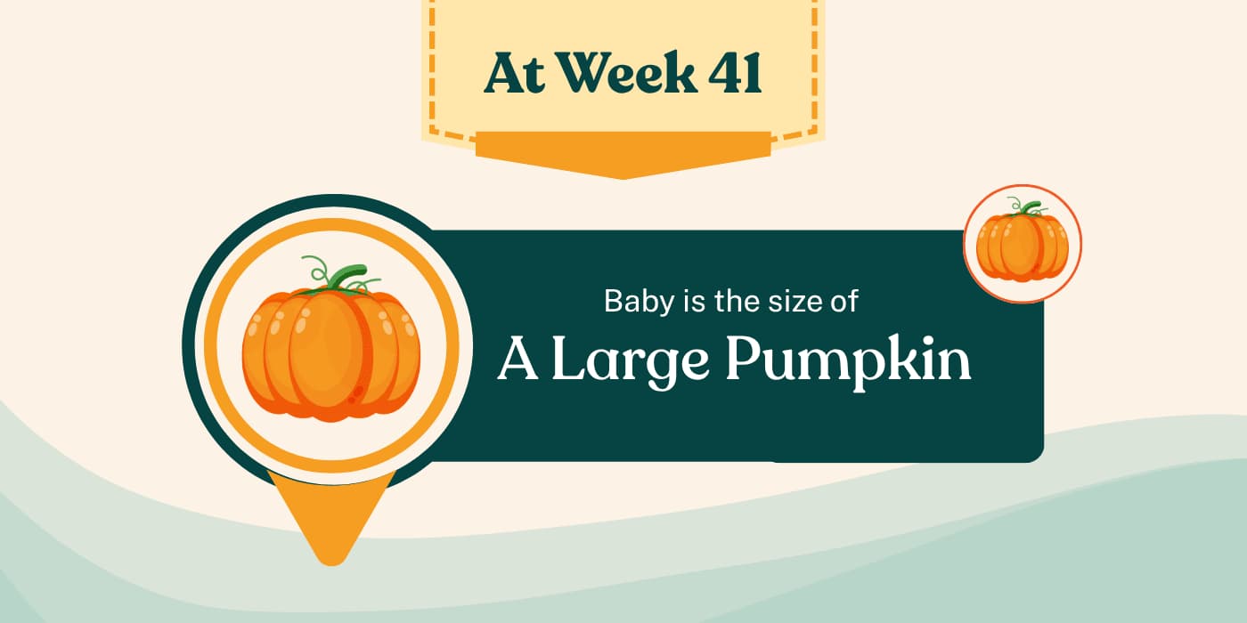 Your Pregnancy at Week 41