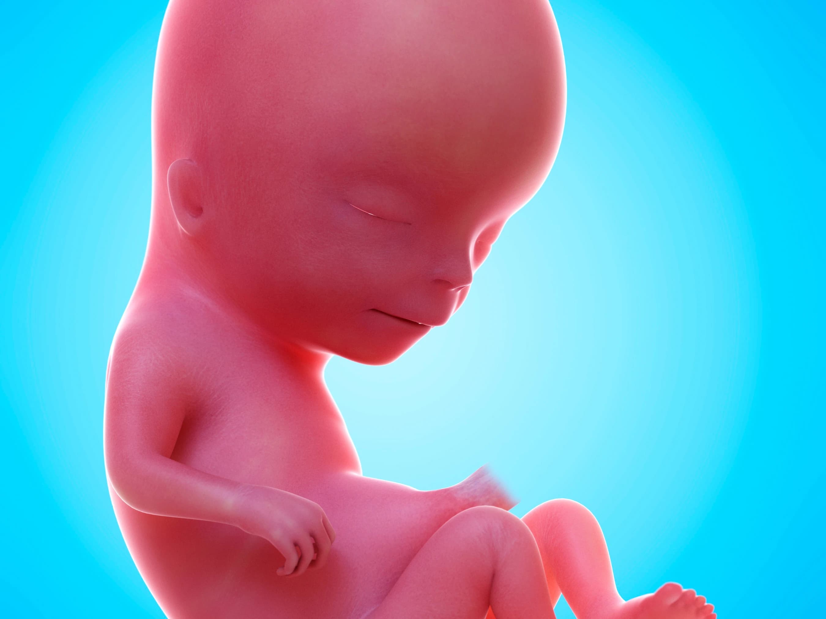 Your Pregnancy at Week 13