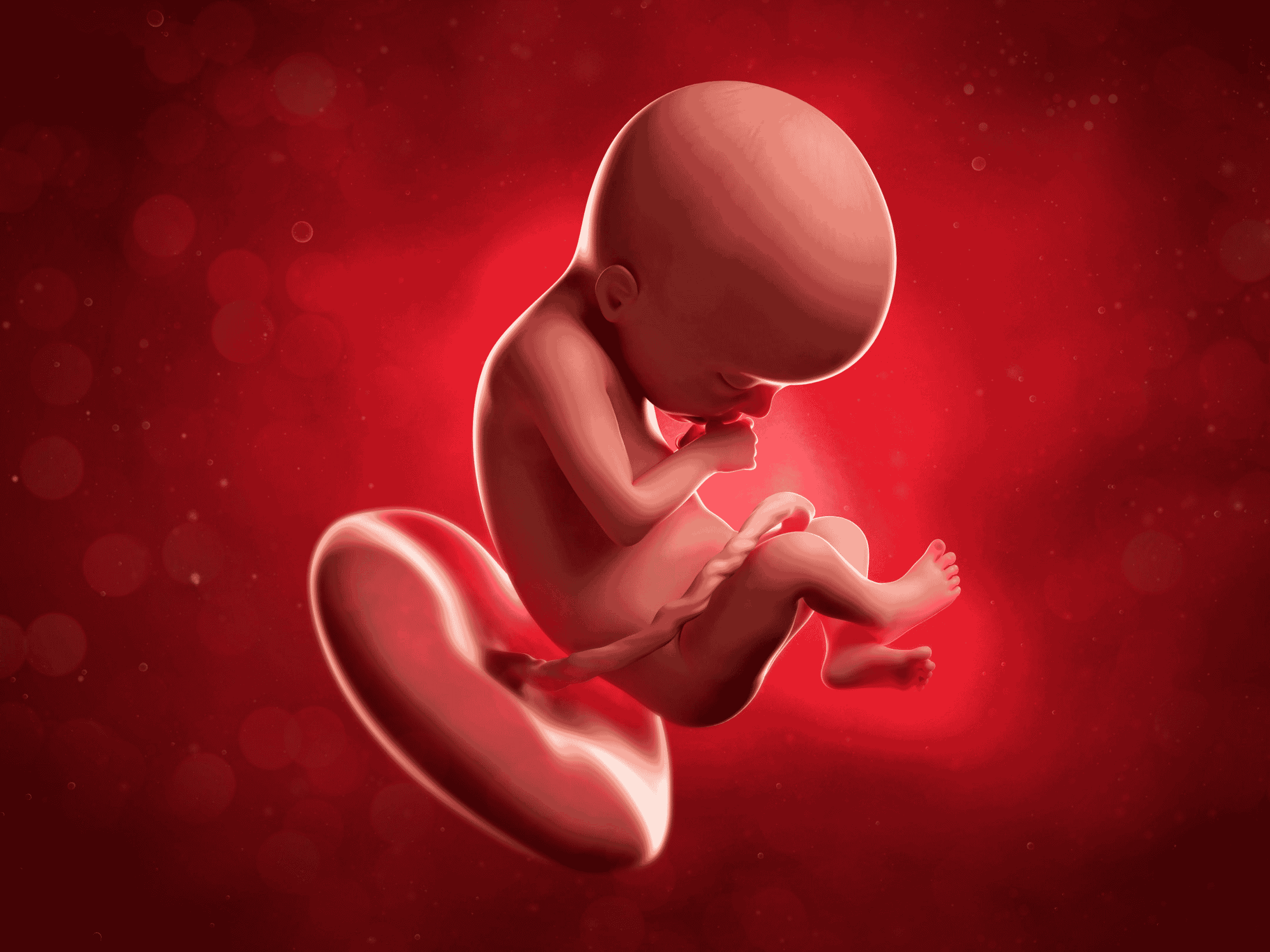 Your Pregnancy at Week 21