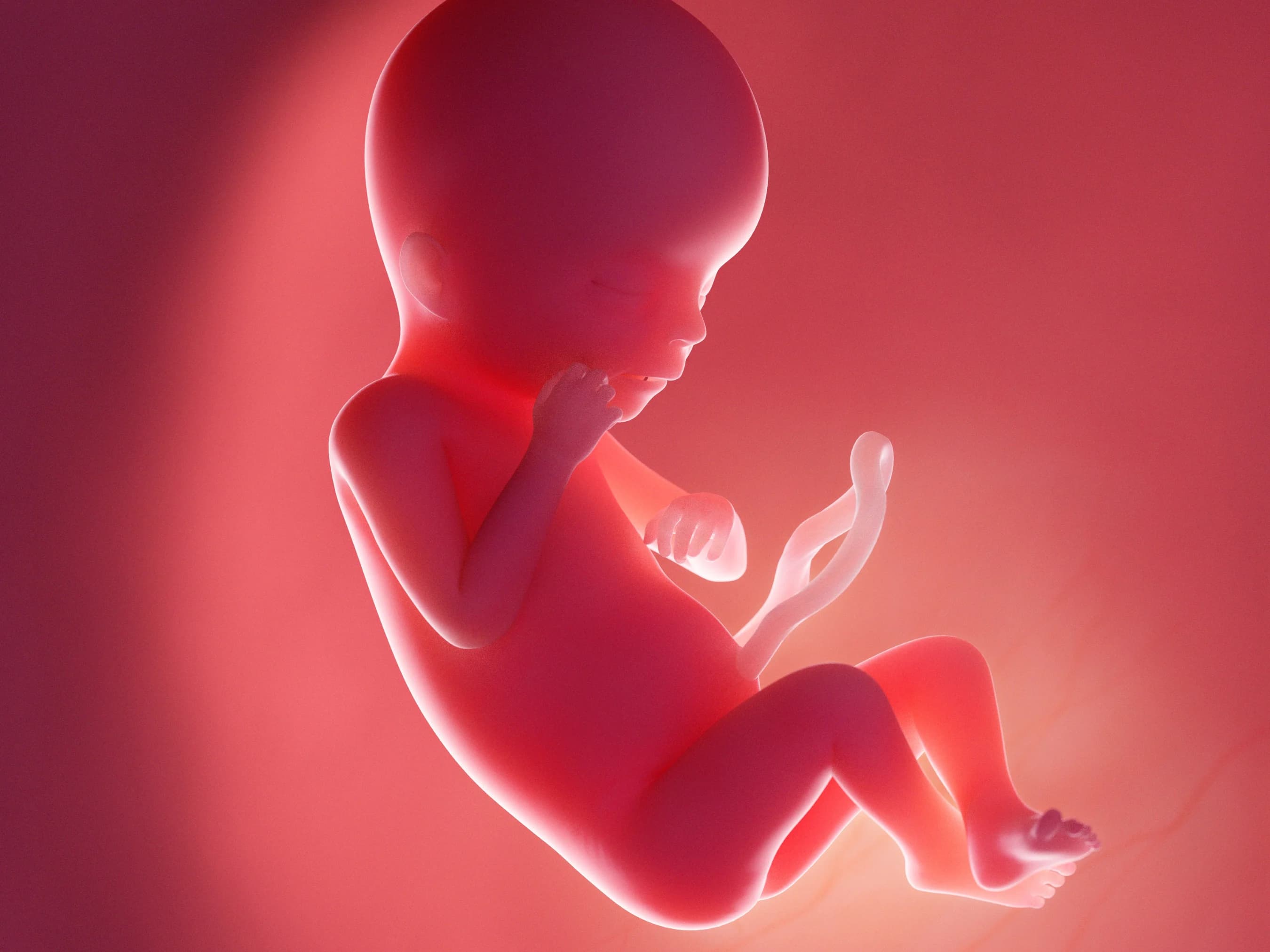 Your Pregnancy at Week 41