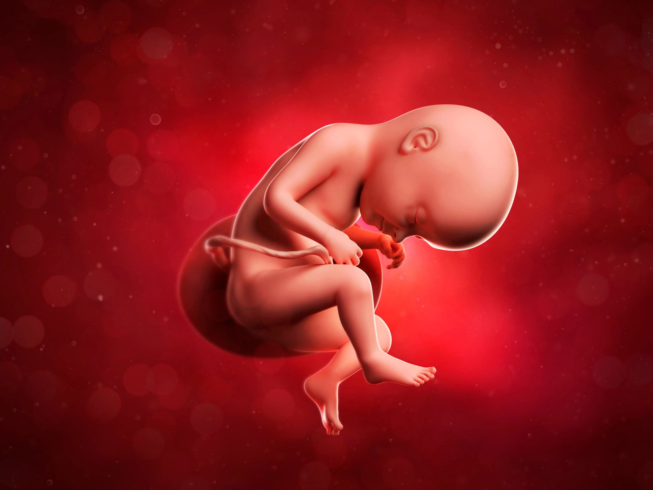 Your Pregnancy at Week 33