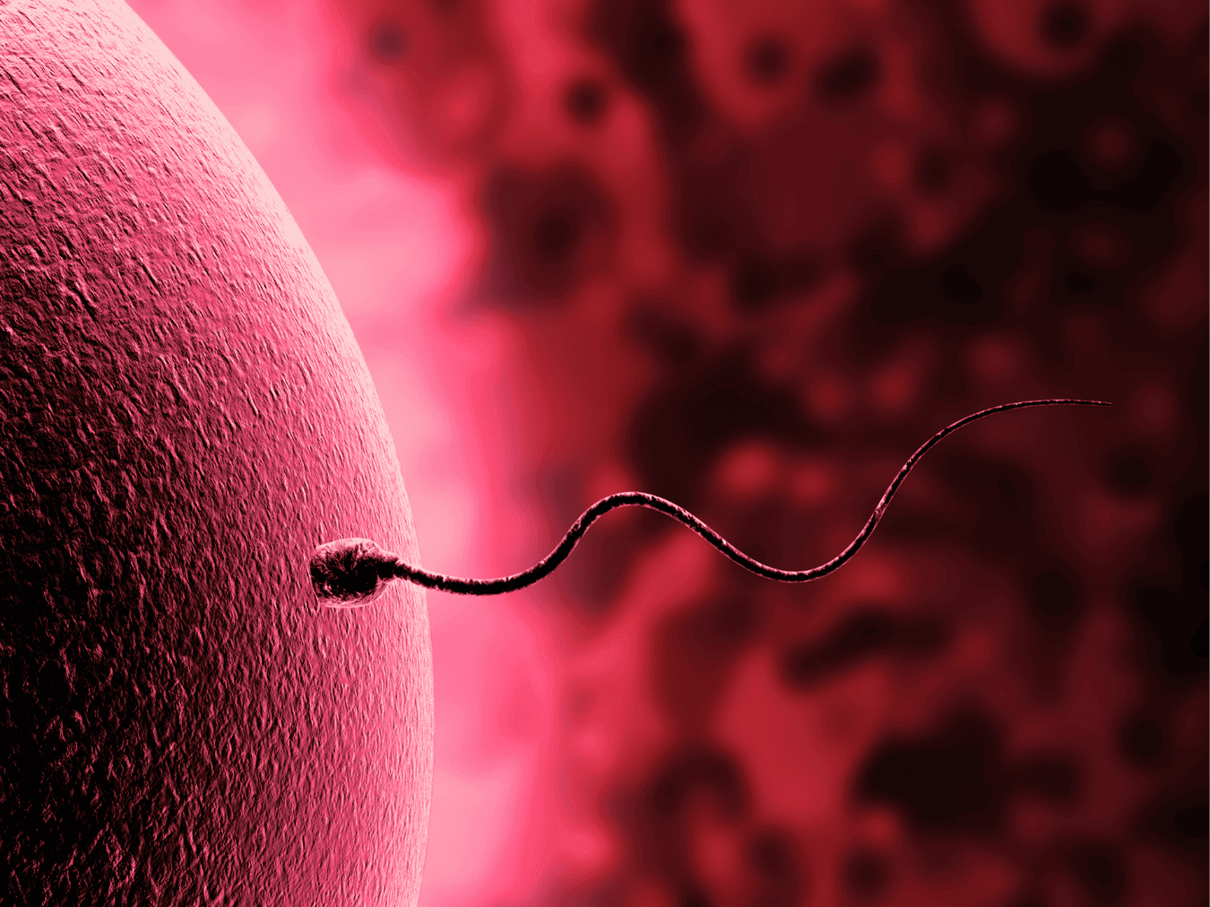 Your Pregnancy At Week 3