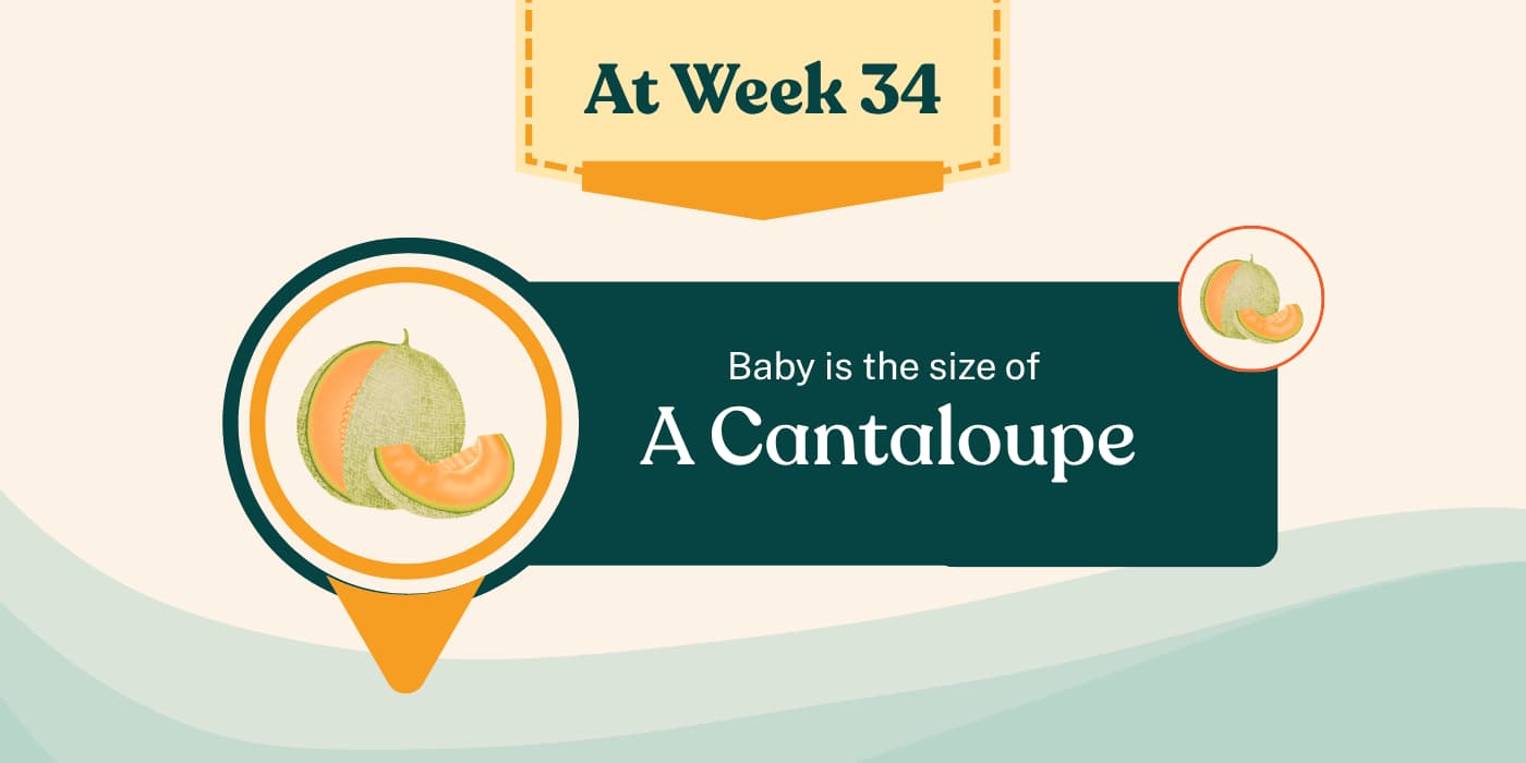 Your Pregnancy at Week 34