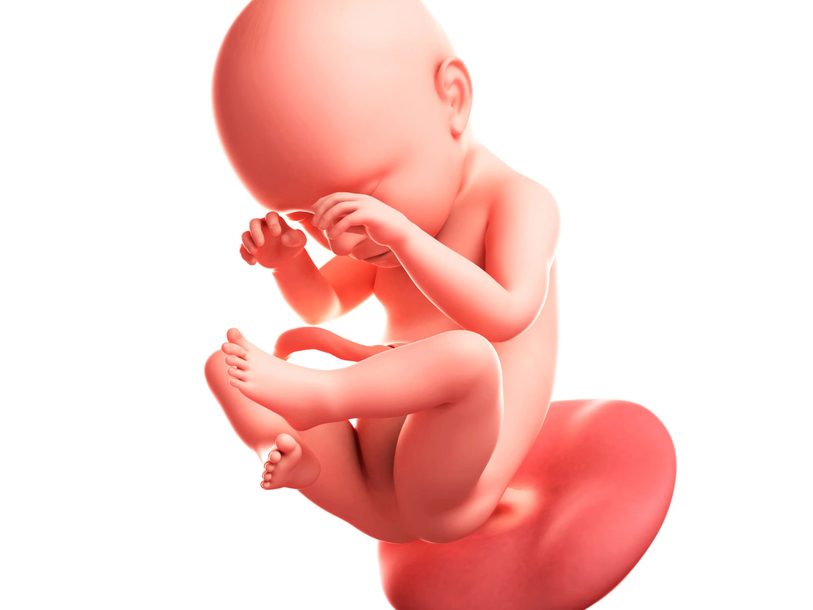 Your Pregnancy at Week 38