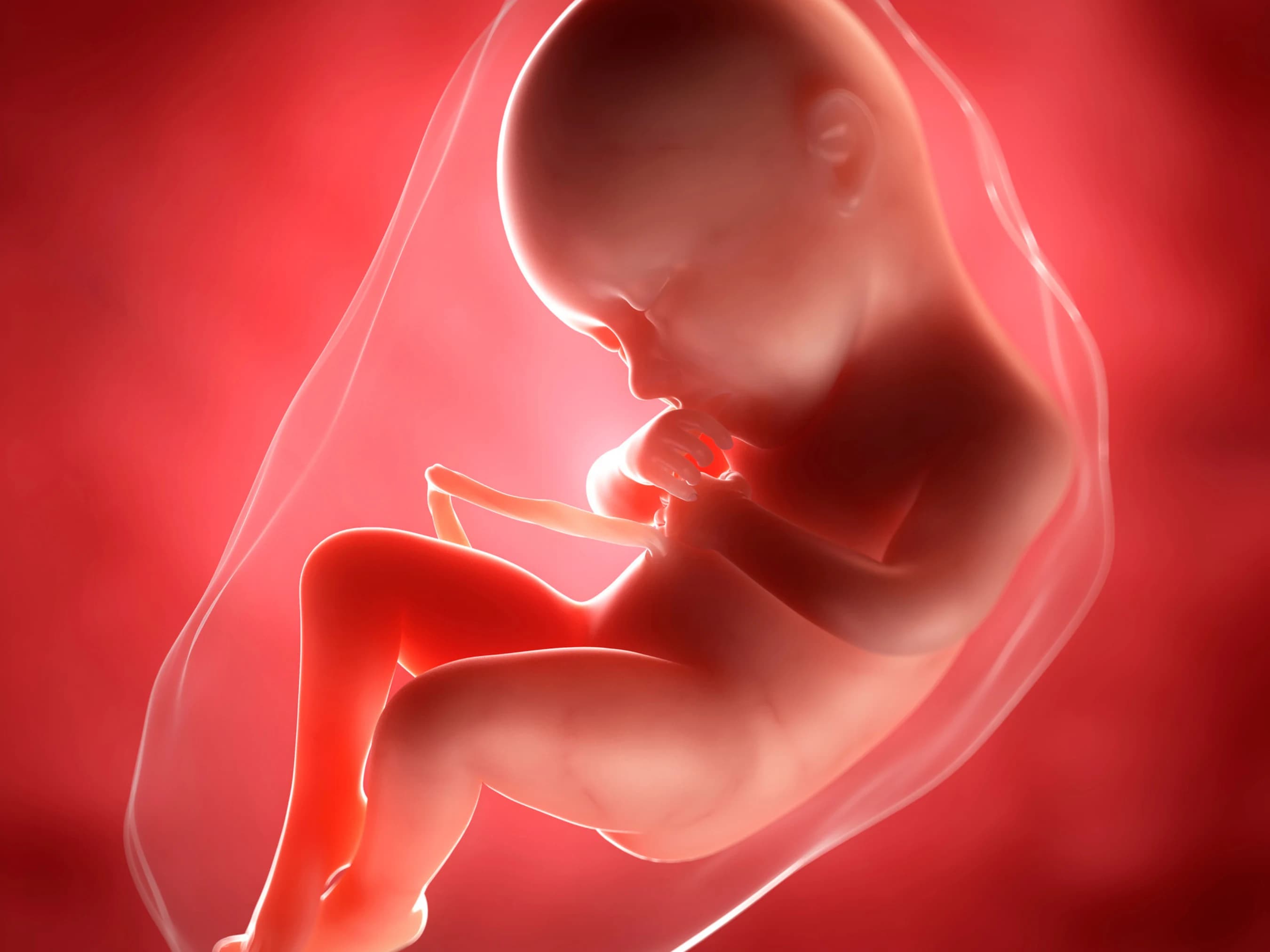 Your Pregnancy at Week 36