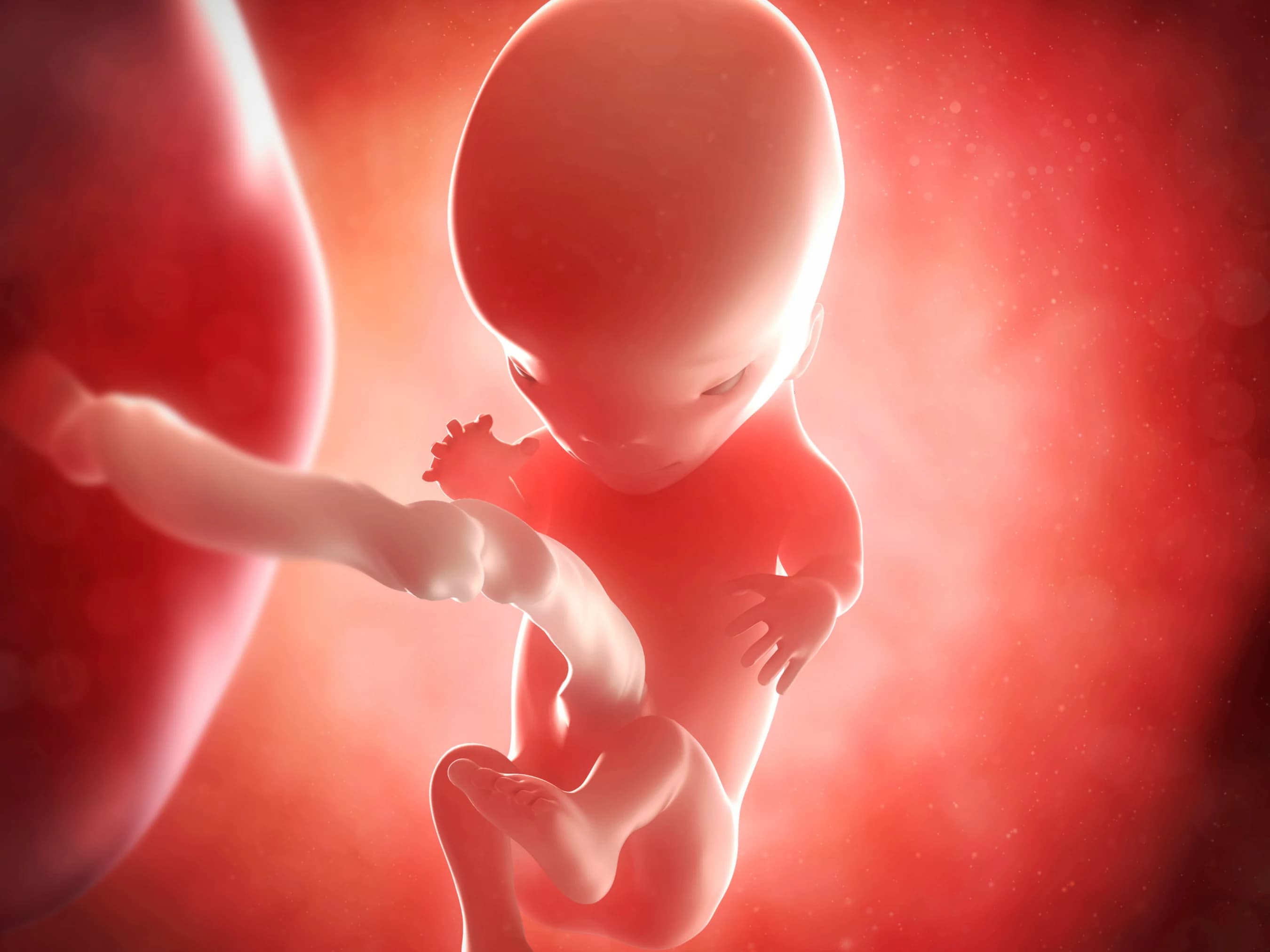 Your Pregnancy at Week 11