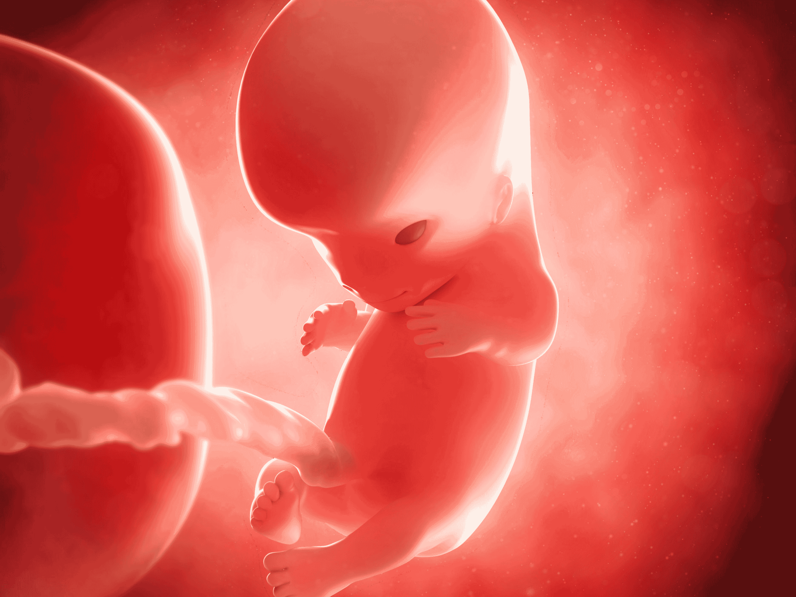 Your Pregnancy at Week 10