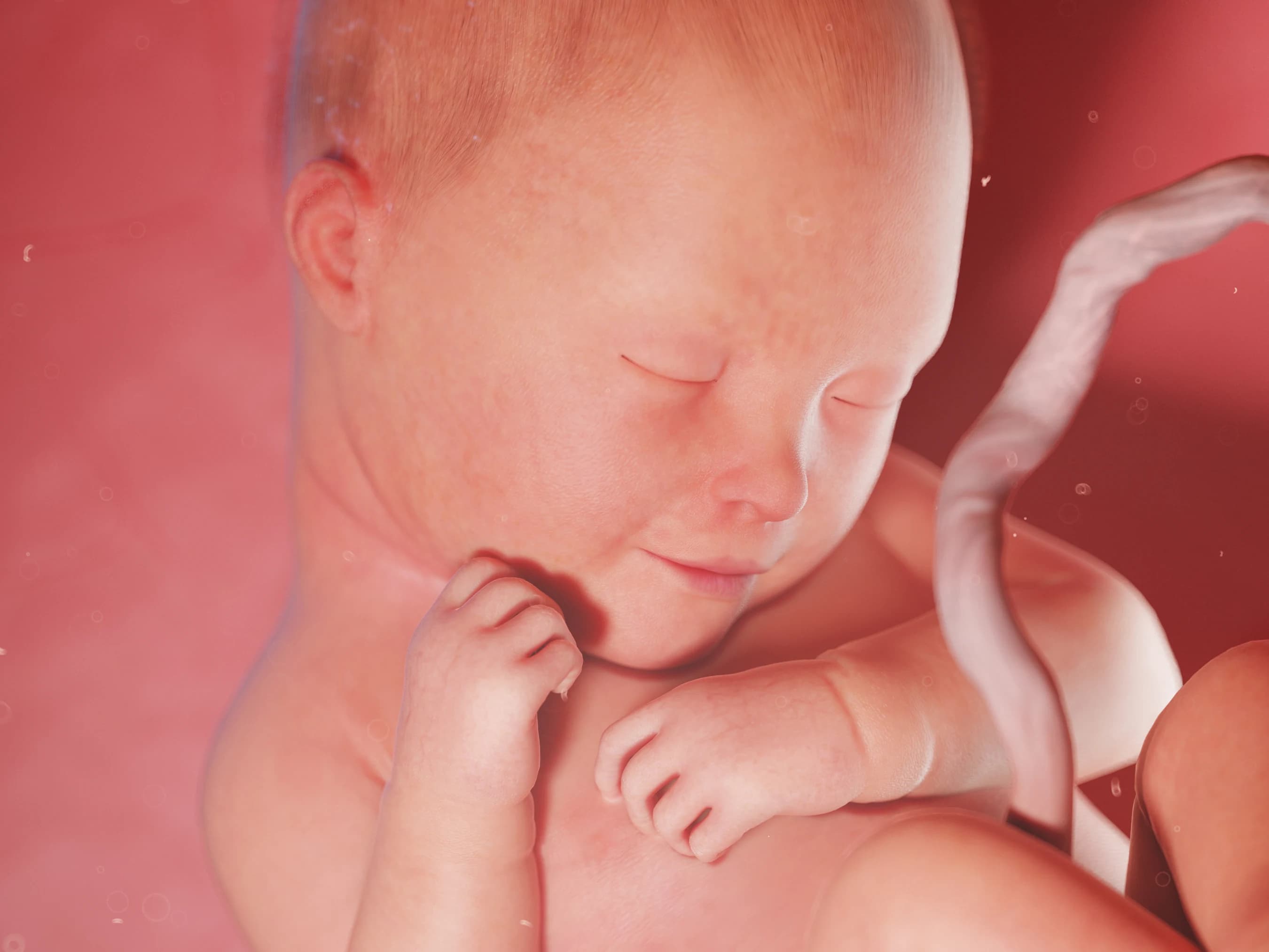 Your Pregnancy at Week 35