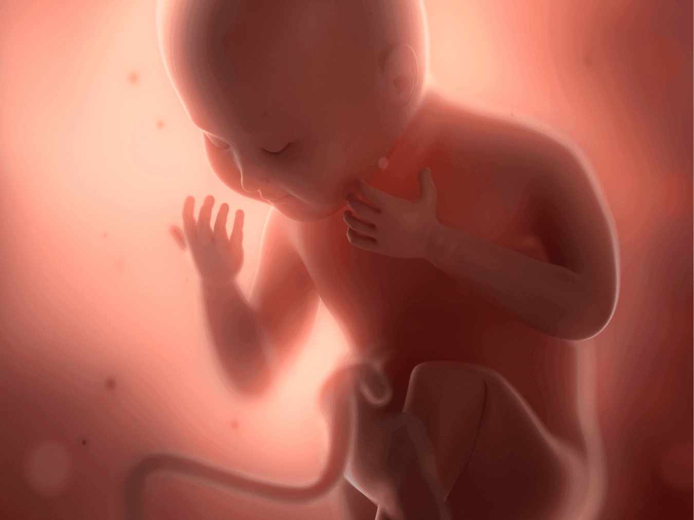 Your Pregnancy at Week 42