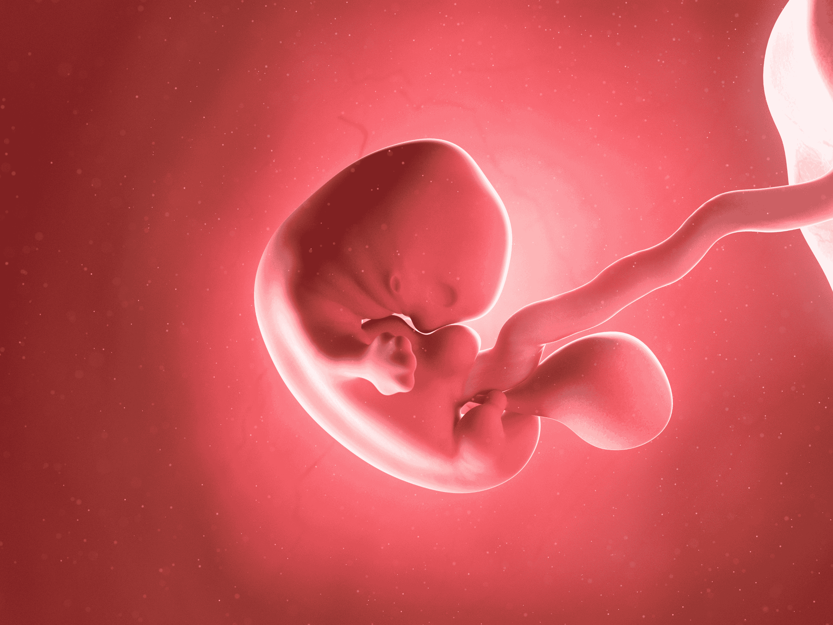 Your Pregnancy At Week 7