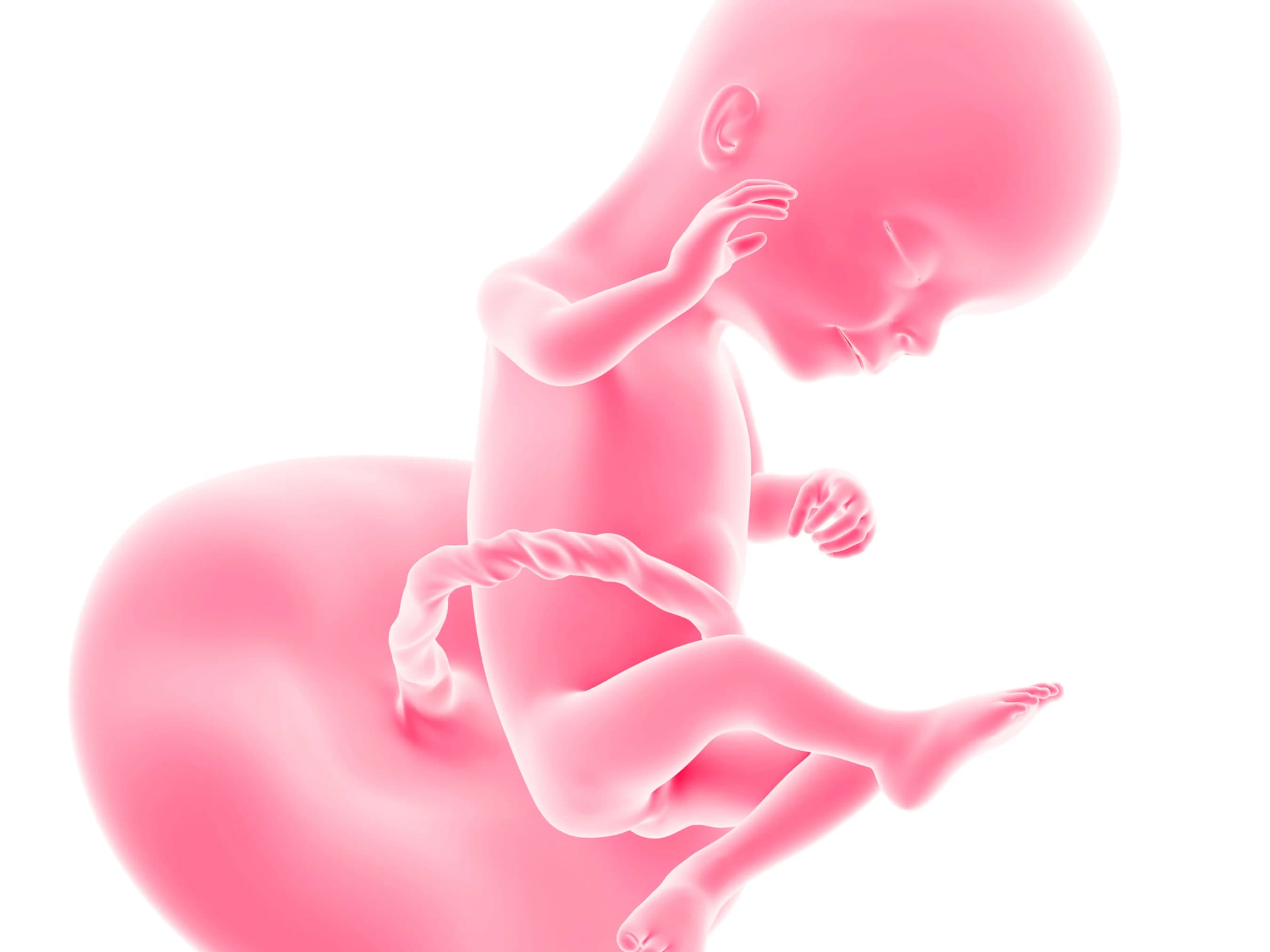 Your Pregnancy at Week 16