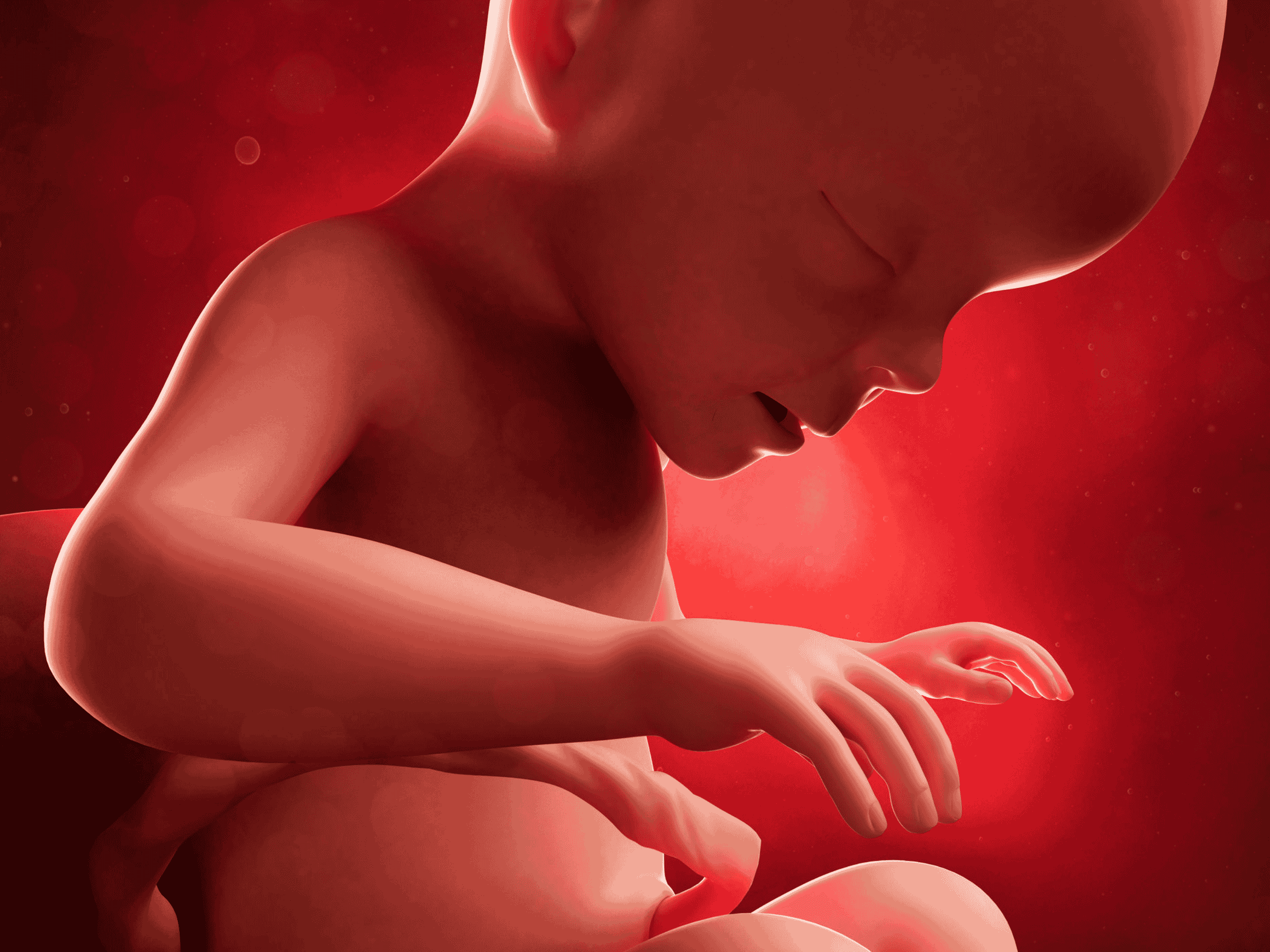 Your Pregnancy at Week 26