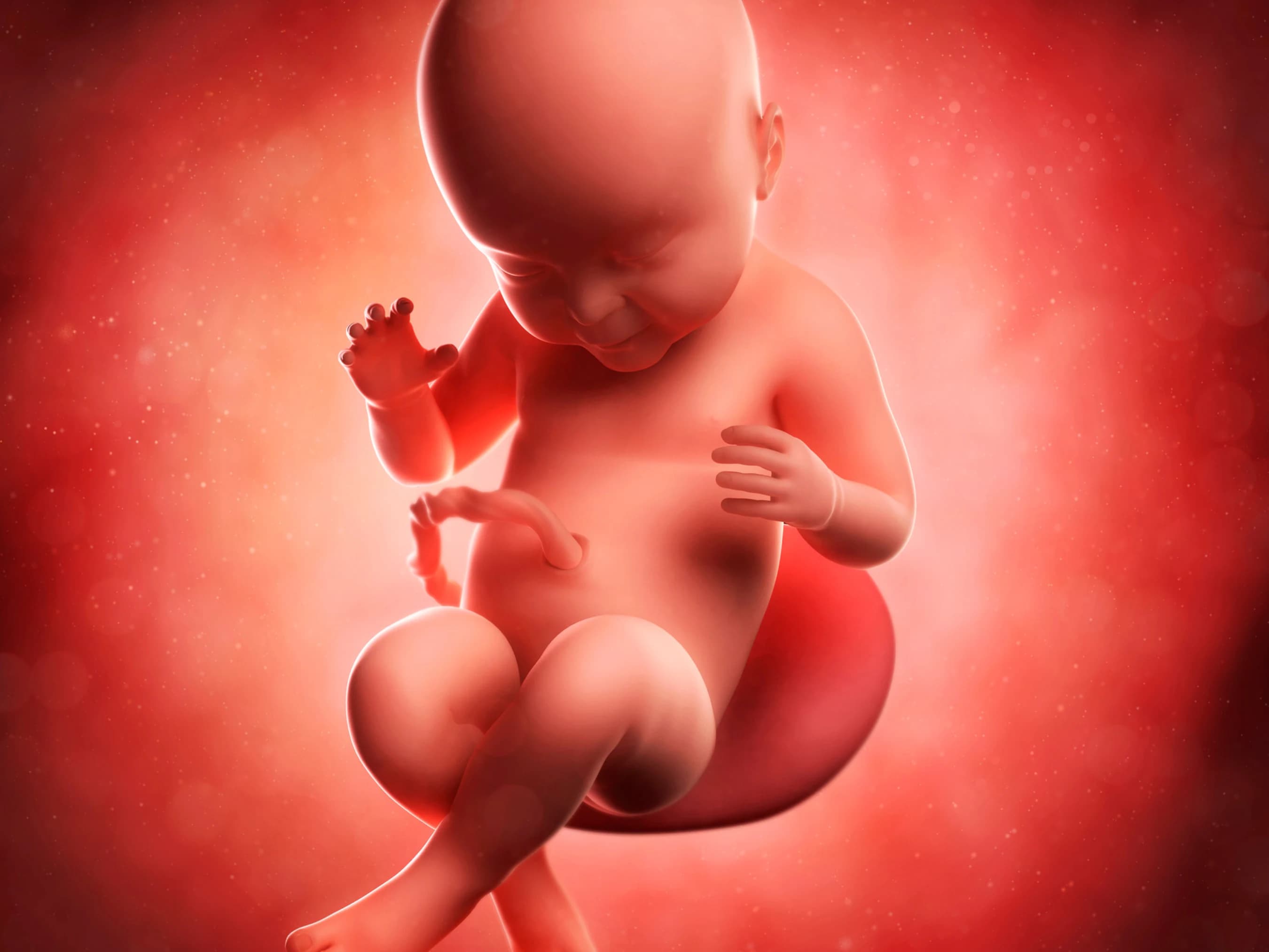 Your Pregnancy at Week 40