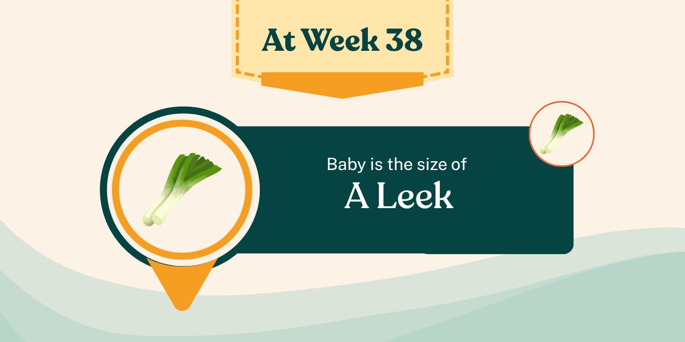 Your Pregnancy at Week 38