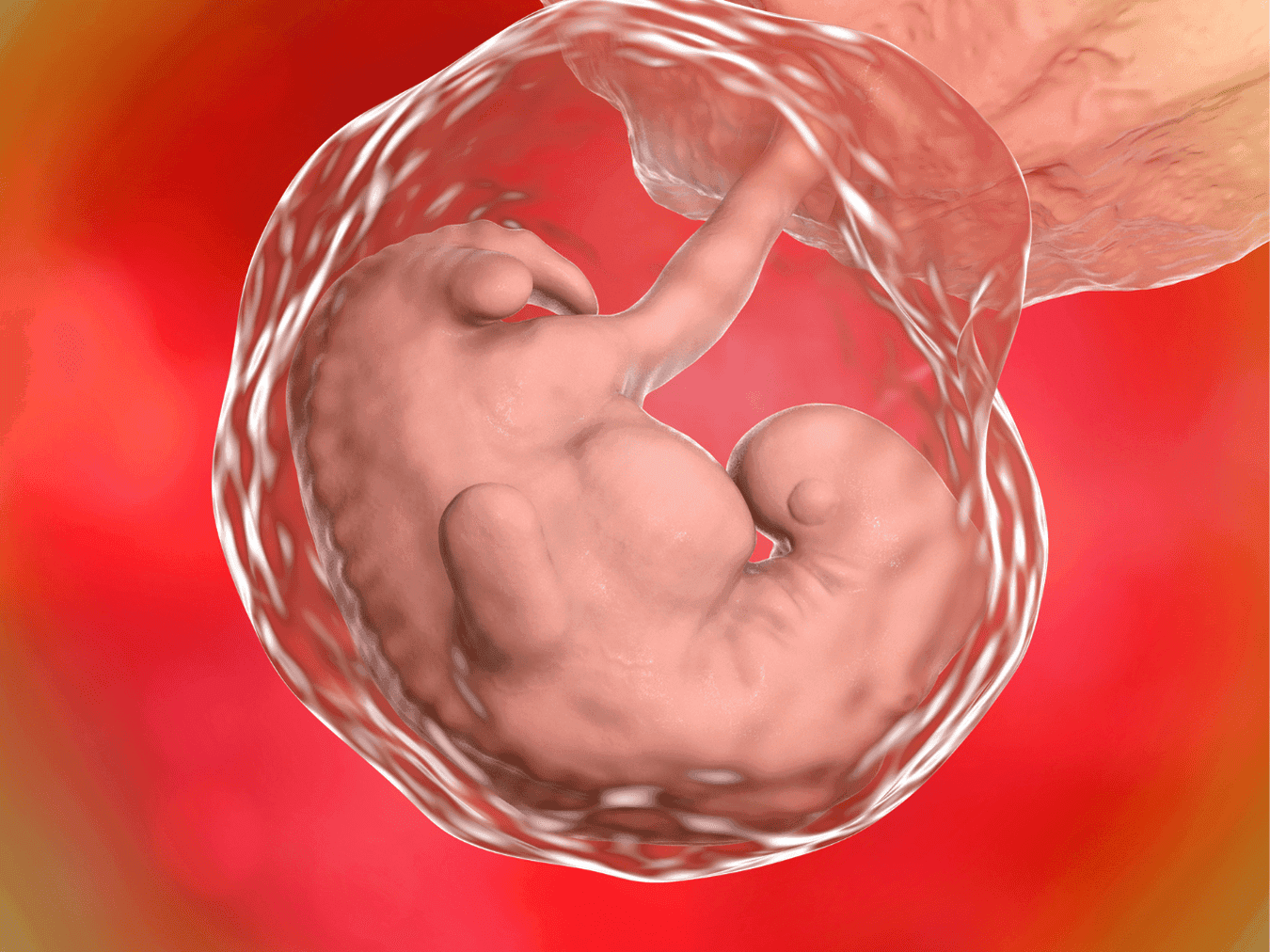 Your Pregnancy At Week 4